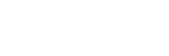 Insignia PPT
