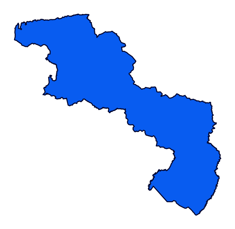 Silueta Oficial del Estado Aragua